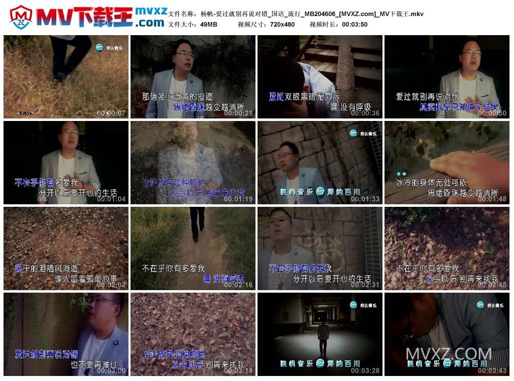 杨帆-爱过就别再说对错_国语_流行_MB204606
